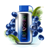 Vozol Star 20000 Чорниця 5%
