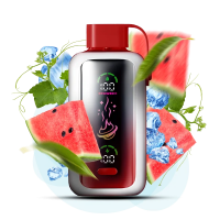 Vozol Star 20000 Кавун Лід 5%